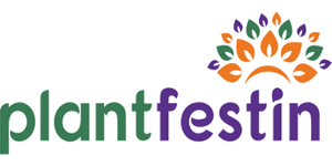 plantfestin