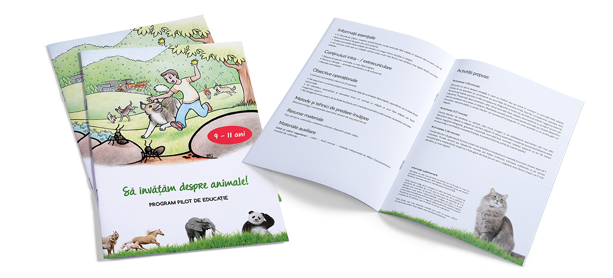 Sa invatam despre animale – Graphic design