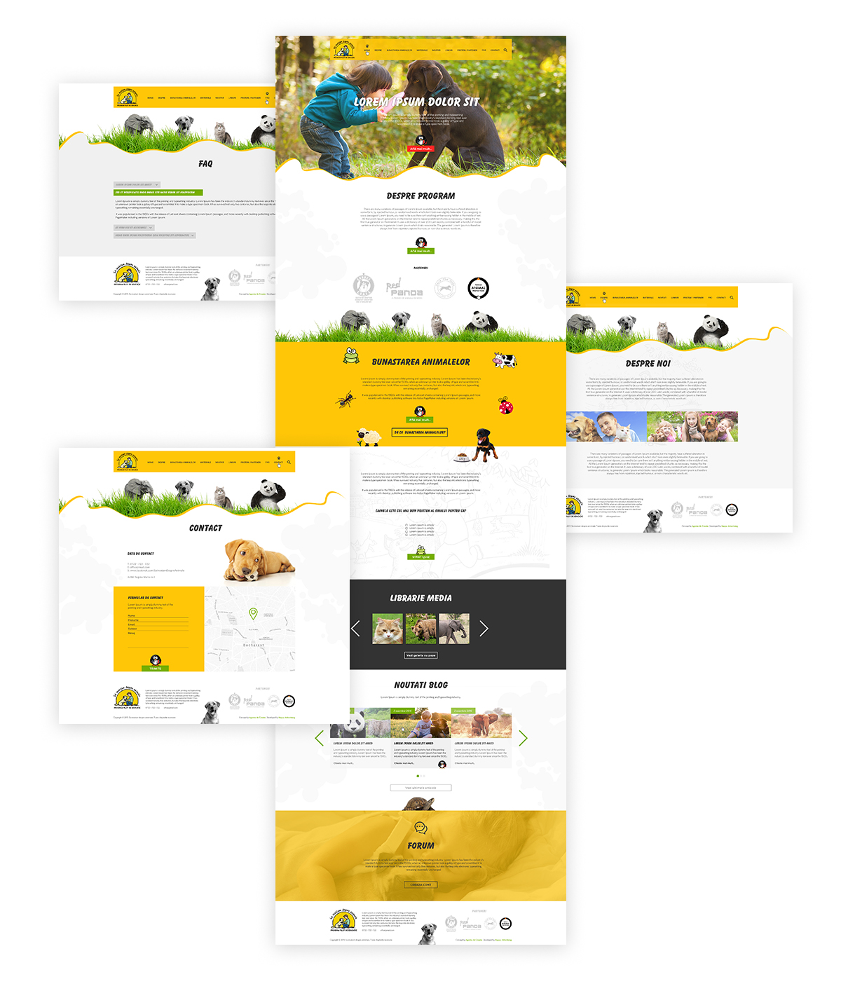 Sa invatam despre animale – Web design & development